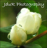 JduR Photography