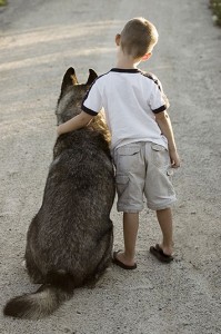 Boy and dog