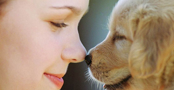 Fostering Compassion, SCIO logo