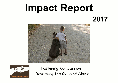 Fostering Compassion Impact Report 2017