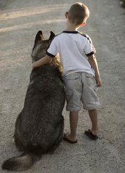 Boy and dog