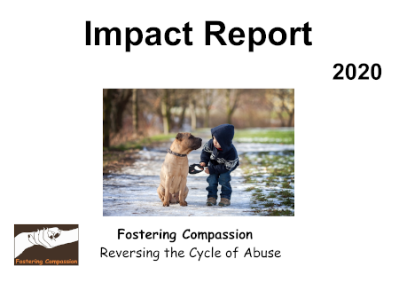 Fostering Compassion Impact Report 2020