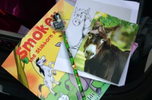 Donkey Sanctuary - Goody bag contents